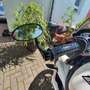Triumph Street Triple R 675 Blanc - thumbnail 3