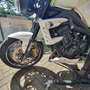 Triumph Street Triple R 675 Blanc - thumbnail 6