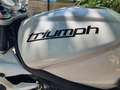Triumph Street Triple R 675 Blanc - thumbnail 11