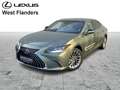 Lexus ES 300 Privilege Line Vert - thumbnail 1