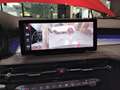 Alfa Romeo Tonale TONALE IBRIDA 1,5 Rot - thumbnail 12