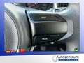 Kia Stonic 1.2 Spirit *ALU*KLIMA* Blanc - thumbnail 15