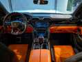 Lamborghini Urus 4.0 V8+TETTO+INT. BI-COLOR+OFFROADPACK+IVA ESPOSTA Blau - thumbnail 12