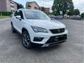 SEAT Ateca Ateca 2.0 tdi Business 4drive Bianco - thumbnail 2