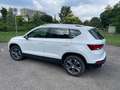 SEAT Ateca Ateca 2.0 tdi Business 4drive Bianco - thumbnail 6