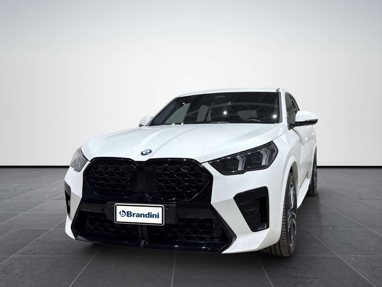 BMW X2 xdrive 20d 48V auto