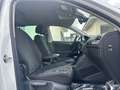 Volkswagen Tiguan Tiguan 1.4 tsi Executive 150cv dsg Weiß - thumbnail 14