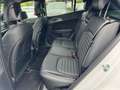 Kia Sportage 1.6 CRDi MHEV GT Line DCT Blanco - thumbnail 19