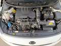 Kia Rio Rio 1.0 T-GDI 120 Mild-Hybrid GT Line Alb - thumbnail 14