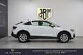Audi Q3 45 TFSIe  245 ch S tronic 6 Blanc - thumbnail 2