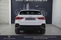 Audi Q3 45 TFSIe  245 ch S tronic 6 Blanc - thumbnail 10