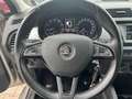 Skoda Fabia Ambition Tempomat+Klima+Einparkhilfe Beige - thumbnail 10