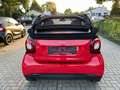 smart forTwo Cabrio Prime LED-NAVI-90PS-S.HEIZ-KAM Rouge - thumbnail 19