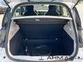 Renault ZOE Life R110 ZE40 KLIMA STANDHEIZUNG KAUFAKKU Bianco - thumbnail 9