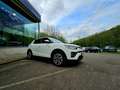 SsangYong Tivoli 1.5 T-GDI 2WD Sapphire (EU6d-temp) Bílá - thumbnail 13