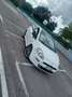 Fiat Punto Evo 3p 1.3 mjt Blue&Me s&s 75cv - thumbnail 3
