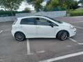 Fiat Punto Evo 3p 1.3 mjt Blue&Me s&s 75cv - thumbnail 2