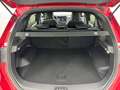 Cirelli Cirelli 3 SPORT 1.5L Benzina 133CV AUTO *PREZZO DI LISTINO* Rood - thumbnail 8