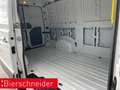 Volkswagen Crafter 35 Kasten L3 H2 2.0 TDI AHK 5-J-GAR. TRENNWAND BLU Weiß - thumbnail 13
