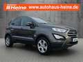 Ford EcoSport 1.0 EcoBoost C&C *16-LM*PDC V+H*NAVI*WINTER-P.* Gris - thumbnail 8