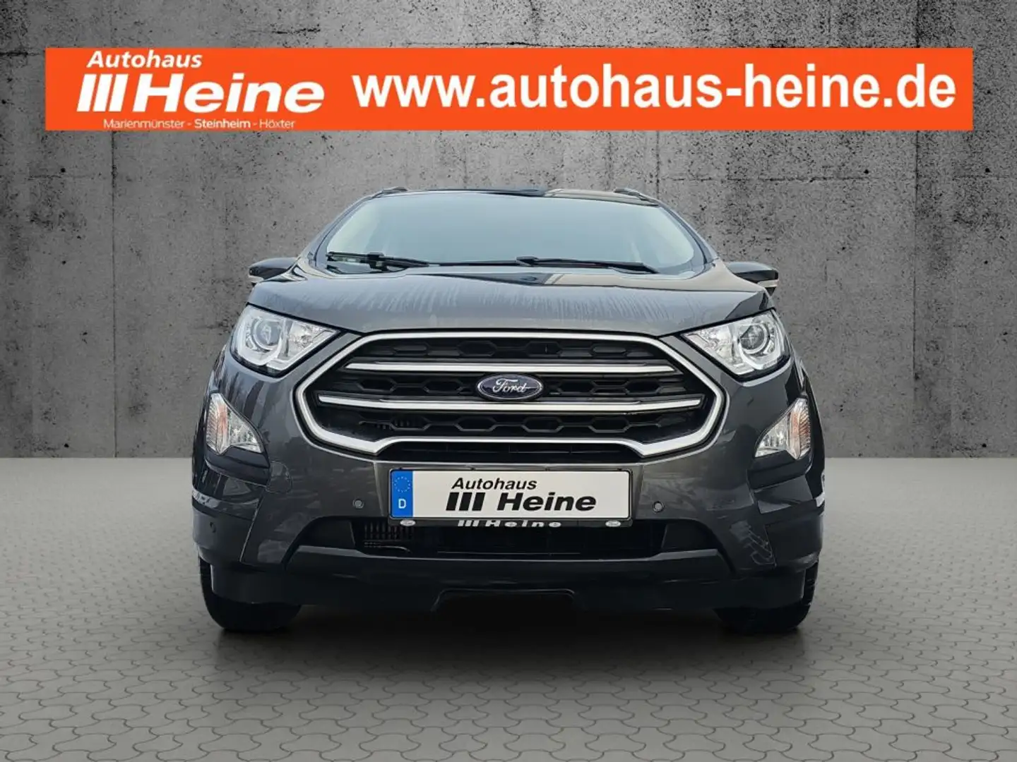 Ford EcoSport 1.0 EcoBoost C&C *16-LM*PDC V+H*NAVI*WINTER-P.* Gris - 1
