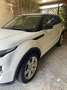 Land Rover Range Rover Evoque 5p 2.2 td4 Dynamic 150cv - thumbnail 10
