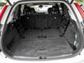 Volvo XC90 T8 AWD Plus Bright PANORAMA | 360° KAMERA | 21 ZOLL Weiß - thumbnail 21