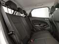 Ford EcoSport 1.0 ecoboost Titanium s&s 125cv my20.25 Bianco - thumbnail 8