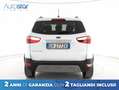 Ford EcoSport 1.0 ecoboost Titanium s&s 125cv my20.25 Bianco - thumbnail 4