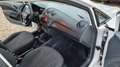 SEAT Ibiza 1.2 TDI CR E-Ecomotive Reference *Euro5* Bílá - thumbnail 11