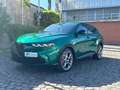 Alfa Romeo Tonale SPECIALE 1.5 HYBRID Grün - thumbnail 4