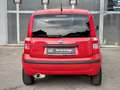 Fiat Panda Rot - thumbnail 5