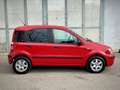 Fiat Panda Rot - thumbnail 7