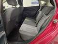 Ford Fiesta Fiesta 1.2 82 CV 5 porte Titanium Mauve - thumbnail 11