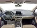 Audi Q5 40 2.0 tdi Business plus quattro 190cv s-tronic Grigio - thumbnail 5