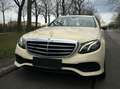 Mercedes-Benz E 200 E 200 d T Aut. Beige - thumbnail 10