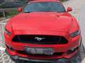 Ford Mustang Mustang 5,0 Ti-VCT V8 GT GT Rot - thumbnail 3