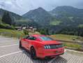 Ford Mustang Mustang 5,0 Ti-VCT V8 GT GT Rot - thumbnail 2