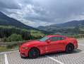 Ford Mustang Mustang 5,0 Ti-VCT V8 GT GT Rot - thumbnail 4