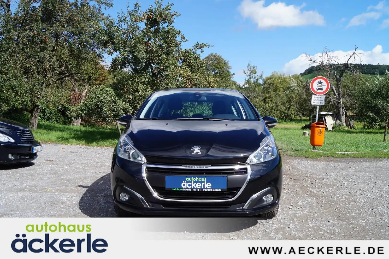 Peugeot 208 Active Sitzheizung I Einparkhilfe Hinten Schwarz - 2