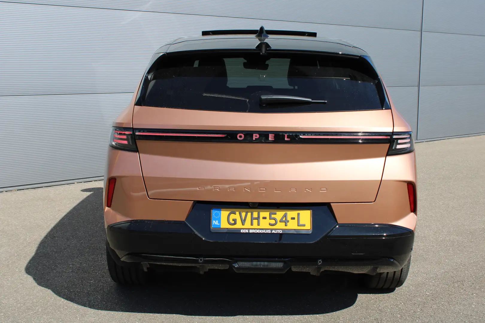 Opel Grandland Electric GS 73 kWh | Audio installatie premium | A Bruin - 2