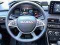 Dacia Jogger Extreme+ Hybrid 7 Sitze SHZ, Kamera, Navi Grau - thumbnail 14