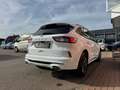 Ford Kuga ST-Line X AHK HeadUp LED Kamera Weiß - thumbnail 14