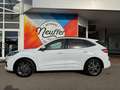 Ford Kuga ST-Line X AHK HeadUp LED Kamera Weiß - thumbnail 8