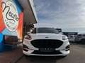 Ford Kuga ST-Line X AHK HeadUp LED Kamera Weiß - thumbnail 2
