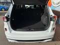 Ford Kuga ST-Line X AHK HeadUp LED Kamera Weiß - thumbnail 12