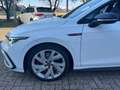 Volkswagen Golf GTI 245CV SOLO KM 25000 VIRTUAL FARI LED+FRECCIE DINAM Bianco - thumbnail 2
