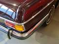 Mercedes-Benz 250 Coupe Mercedes Rood - thumbnail 16