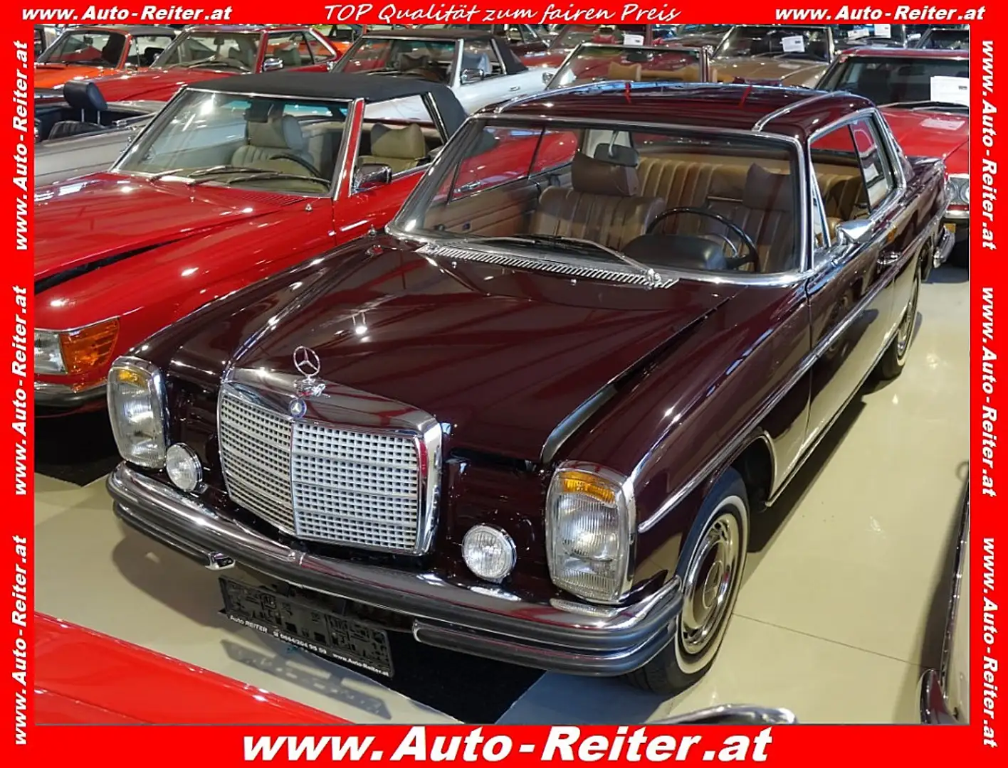 Mercedes-Benz 250 Coupe Mercedes Rood - 1