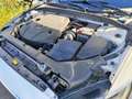 Volvo V60 D3 Inscription Blanco - thumbnail 16
